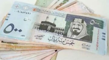 سعر الريال السعودي أمام الجنية المصري اليوم الأحد 31 مارس