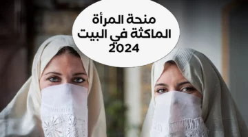 (www.anem.dz).. منحة المرأة الماكثة في البيت بالجزائر 2024 وشروطها