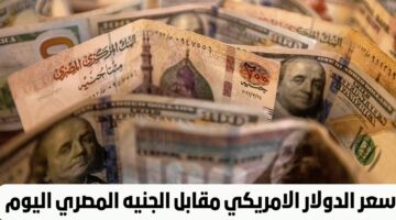 شوف الاخضر وصل كام.. سعر الدولار الأمريكي مقابل الجنيه المصري اليوم في مصر