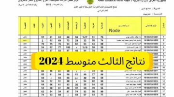 رابط استخراج نتائج الثالث متوسط الدور الأول 2024 جميع محافظات العراق