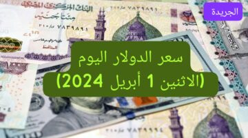 الدولار يمارس حالة من الاستقرار.. تعرف على سعر الدولار اليوم مقابل الجنيه المصري