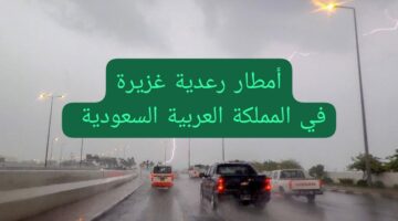 “المركز الوطني للأرصاد الجوية”.. 8 مناطق في المملكة العربية السعودية تستعد لاستقبال أمطار رعدية غزيرة بداية من اليوم