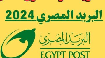 رابط مباشر.. خطوات الاستعلام عن أسماء المقبولين في وظائف البريد المصري 2024