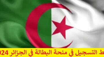 شغال “anem.dz” رابط التسجيل في منحة البطالة في الجزائر 2024 عبر موقع الوكالة الوطنية للتشغيل والشروط والأوراق المطلوبة