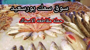 مواطنون ضد الغلاء تطالب بمقاطعة شراء الأسماك