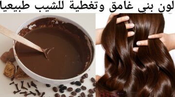 مش هتروحي لكوفير عشان العيد.. صباغة الشعر باللون البني الغامق دون كيماويات طبيعية