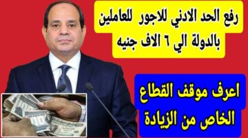 بشري سارة.. رفع الحد الأدنى للأجور في مصر إلى 6000 جنيه وما موقف القطاع الخاص