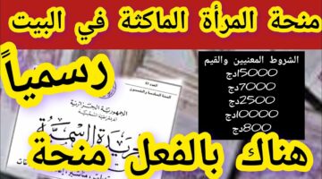 20 ألف دينار جزائري.. التقديم على منحة المرأة الماكثة في البيت والوثائق المطلوبة