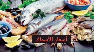 “الفسفور ولع” اسعار الاسماك اليوم في سوق العبور تشهد ارتفاعاً ملحوظاً