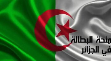 تجديد منحة البطالة 6 أشهر في الجزائر 2024 والشروط المطلوبة