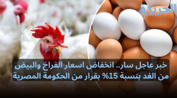 خبر عاجل سار.. انخفاض اسعار الفراخ والبيض من الغد بنسبة 15% بقرار من الحكومة المصرية