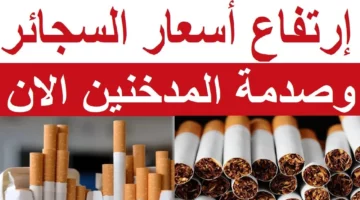 تحذير للمدخنين.. ارتفاع صادم في أسعار السجائر  تعرف على الأسعار الجديدة اليوم