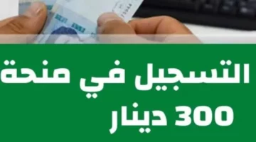 التسجيل في منحة 300 دينار تونس 2024 عبر موقع وزارة الشؤون الاجتماعية بالشروط والأوراق المطلوبة