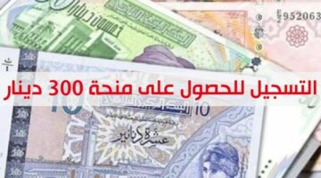 300 دينار منحة فورية.. رابط التسجيل في منحة تونس 2024 والشروط المطلوبة