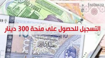 الحكومة التونسية توضح طريقة التقديم في منحة 300 دينار تونسي وشروط الحصول عليها 2024