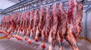 “البلدي والجملى”.. أسعار اللحوم اليوم الجمعة 3 مايو.. إليك التفاصيل