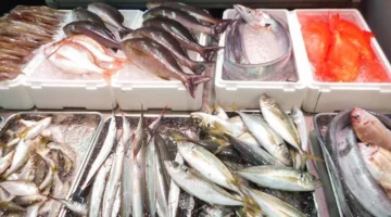 انخفاض غير مسبوق في أسعار الأسماك اليوم الأربعاء 1مايو