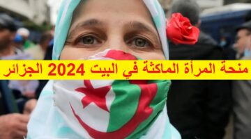 شغال “minha.anem.dz” رابط تسجيل منحة المرأة الماكثة في البيت 2024 الجزائر عبر موقع الوكالة الوطنية للتشغيل والشروط  والأوراق المطلوبة