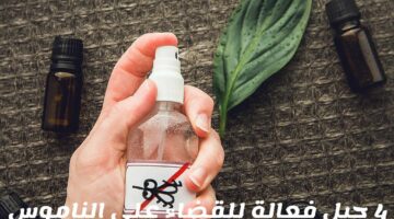 مش هتشوفيه تاني.. 4 حيل فعالة للتخلص من الناموس بطريقة طبيعية بدون مبيدات