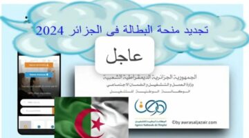 الوكالة الوطنية للتشغيل.. تعلن عن شروط تجديد منحة البطالة في الجزائر 2024