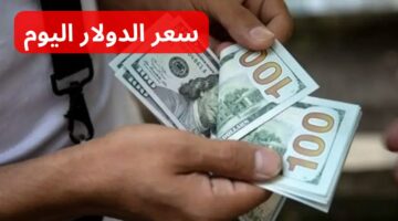 50 دولار أمريكي كام بالمصري ؟ .. إليكم الآن سعر الدولار اليوم في البنوك المصرية