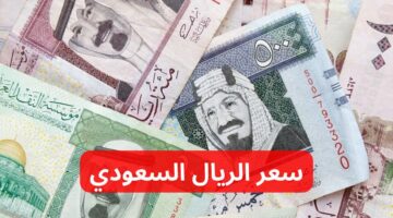 الأخضر السعودي وصل كام النهاردة ؟ .. الآن سعر الريال السعودي في البنوك المصرية 2024