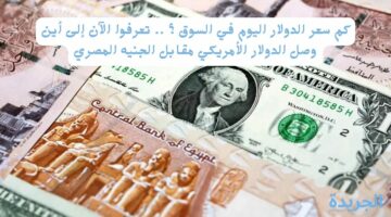 كم سعر الدولار اليوم في السوق ؟ .. تعرفوا الآن إلى أين وصل الدولار الأمريكي مقابل الجنيه المصري