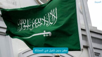 قرار جديد من وزارة الداخلية السعودية جعل جميع الوافدين يطيرون فرحًا