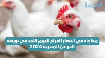 مفاجأة في اسعار الفراخ اليوم الأحد في بورصة الدواجن المصرية 2024