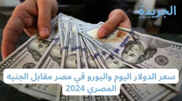 سعر الدولار اليوم واليورو قي مصر مقابل الجنيه المصري 2024