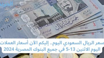 سعر الريال السعودي اليوم.. إليكم الآن أسعار العملات اليوم الاثنين 13-5 في جميع البنوك المصرية 2024