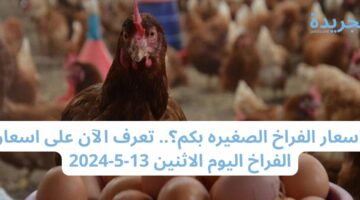 اسعار الفراخ الصغيره بكم؟.. تعرف الآن على أسعار الدواجن اليوم الاثنين 13-5-2024
