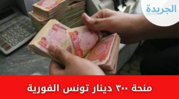 منحة 300 دينار تونس الفورية منحة لكل المواطنين